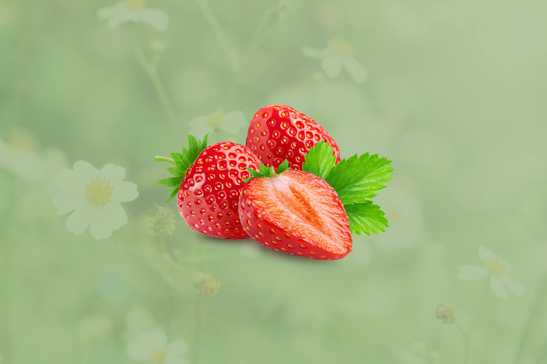 brasa_webb_1920x1280px-midsommar